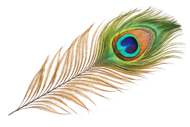 improvedfeather-removebg-preview